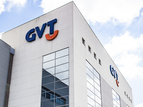 Por que a Telefónica quer a GVT
